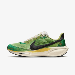 Кроссовки NIKE AIR ZOOM PEGASUS 41 SE
