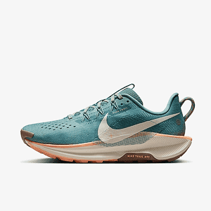 Кроссовки NIKE W REACTX PEGASUS TRAIL 5