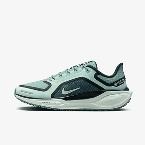 Кроссовки NIKE W AIR ZM PEGASUS 41 GTX