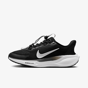 Кроссовки NIKE W PEGASUS EASYON