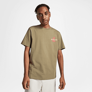 Футболка Converse FESTIVAL PALM TREE TEE