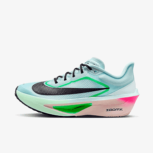 Кроссовки NIKE W ZOOM FLY 6