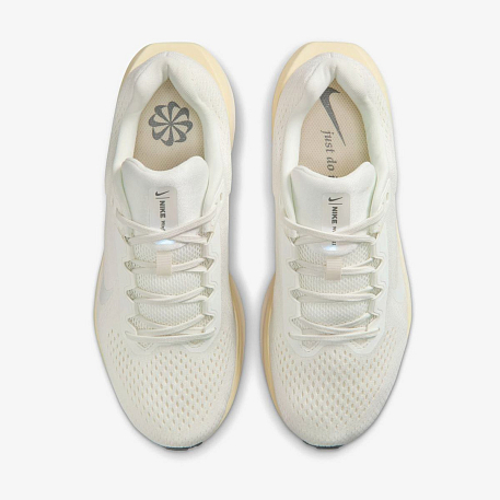 Кроссовки NIKE WMNS AIR WINFLO 11