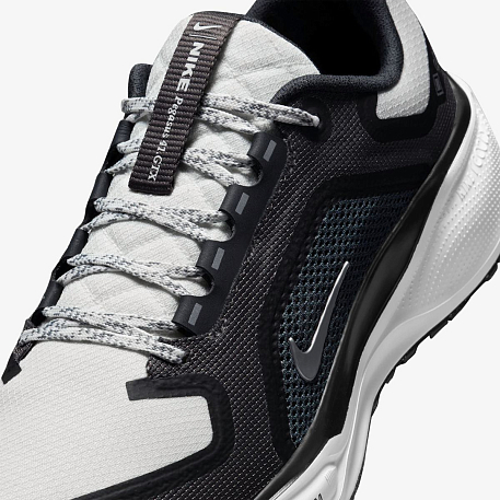 Кроссовки NIKE W AIR ZM PEGASUS 41 GTX