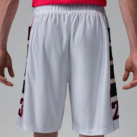 Шорты JORDAN M J BRK CAT SCRATCH SHORT