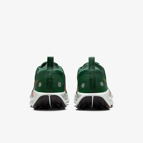 Кроссовки NIKE PEGASUS TRAIL 5 GTX