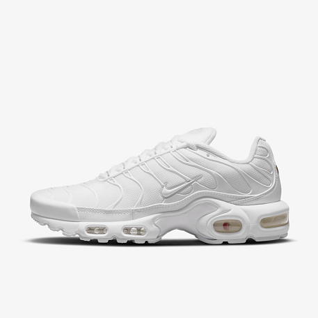 Кроссовки Nike AIR MAX PLUS