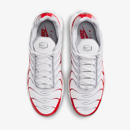 Кроссовки NIKE AIR MAX PLUS