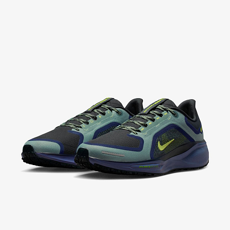 Кроссовки NIKE AIR ZM PEGASUS 41 GTX