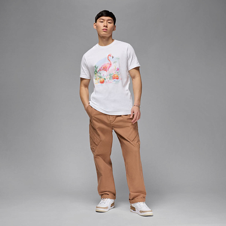Футболка JORDAN M J FLT ESS FLMNGO SS CREW