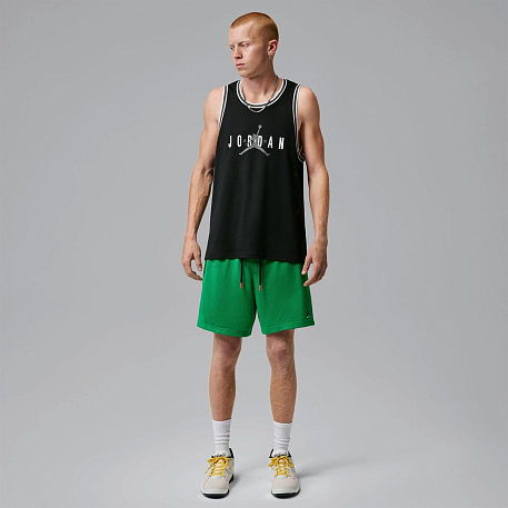 Шорты JORDAN M J BRK CHAMP MESH SHORT