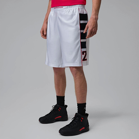 Шорты JORDAN M J BRK CAT SCRATCH SHORT