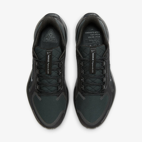 Кроссовки NIKE AIR ZM PEGASUS 41 GTX