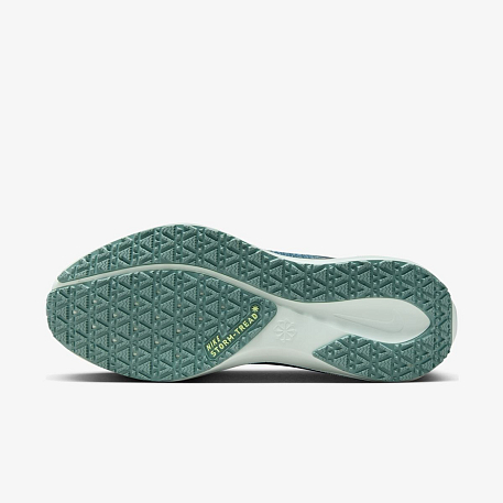 Кроссовки NIKE W AIR ZM PEGASUS 41 GTX