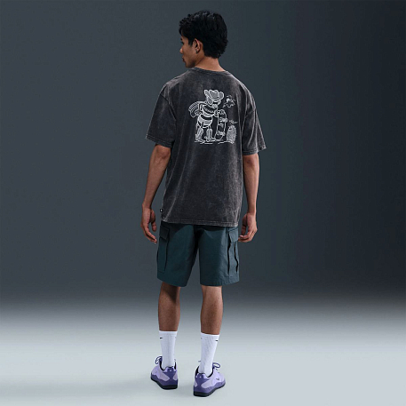 Футболка NIKE U NK SB TEE M90 OC WESTERN BEE