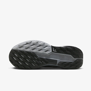 Кроссовки NIKE W PEGASUS TRAIL 5 GTX