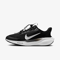 Кроссовки NIKE W PEGASUS EASYON
