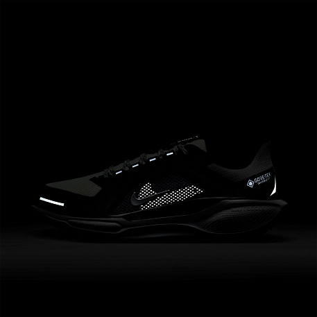 Кроссовки NIKE W AIR ZM PEGASUS 41 GTX