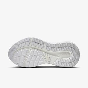 Кроссовки NIKE W AIR WINFLO 12