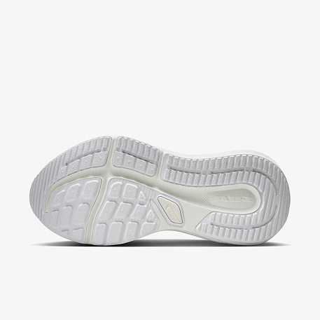 Кроссовки NIKE W AIR WINFLO 12