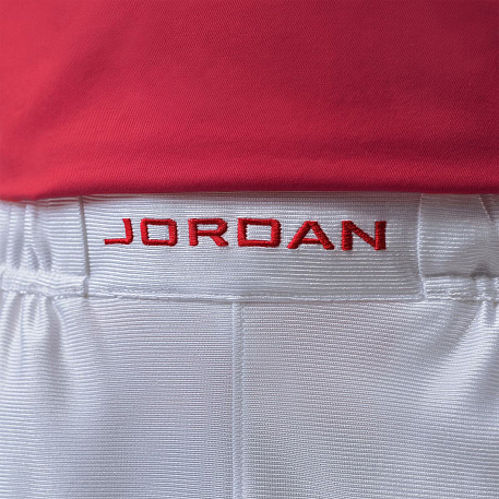 Шорты JORDAN M J BRK CAT SCRATCH SHORT