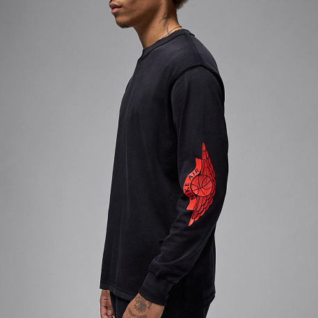 Футболка с длинным рукавом JORDAN M J RARE AIR WSH 85 LS CREW