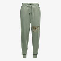 Брюки NIKE W NSW CLUB STD PANT SHINE