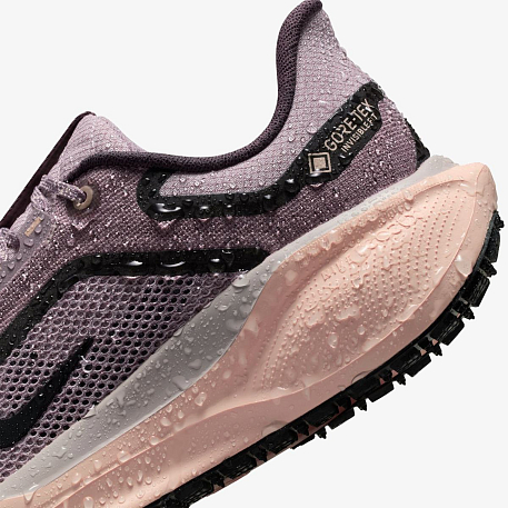 Кроссовки NIKE W AIR ZM PEGASUS 41 GTX