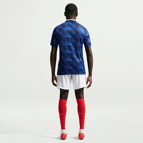 Шорты NIKE FFF M NK DF SHORT STAD HM
