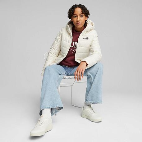 Куртка Puma ESS Hooded Padded Jacket Alpine Snow