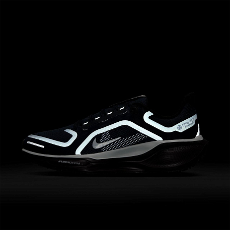 Кроссовки NIKE W AIR ZM PEGASUS 41 GTX