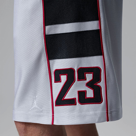 Шорты JORDAN M J BRK CAT SCRATCH SHORT