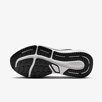 Кроссовки NIKE AIR WINFLO 12