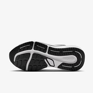 Кроссовки NIKE AIR WINFLO 12