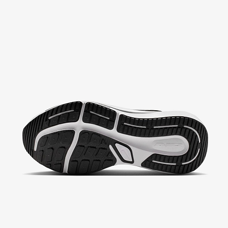 Кроссовки NIKE AIR WINFLO 12