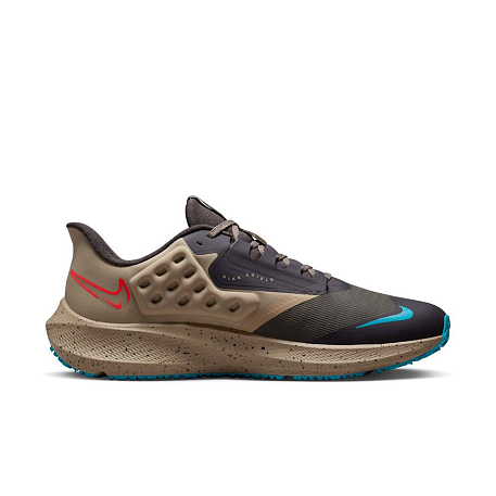 Кроссовки Nike Air Zoom Pegasus 39 Shield