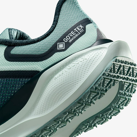 Кроссовки NIKE W AIR ZM PEGASUS 41 GTX