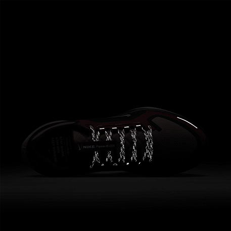 Кроссовки NIKE W AIR ZM PEGASUS 41 GTX