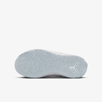 Кроссовки JORDAN DAY1 E.O. (GS)