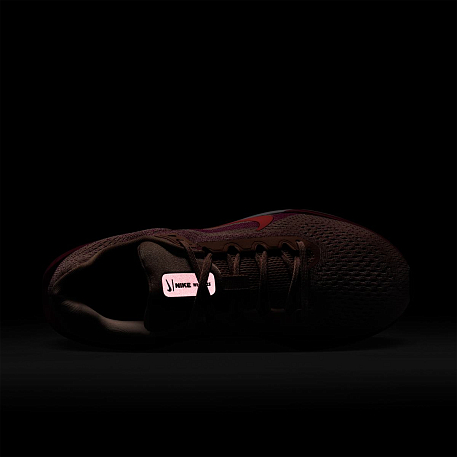 Кроссовки NIKE WMNS AIR WINFLO 11