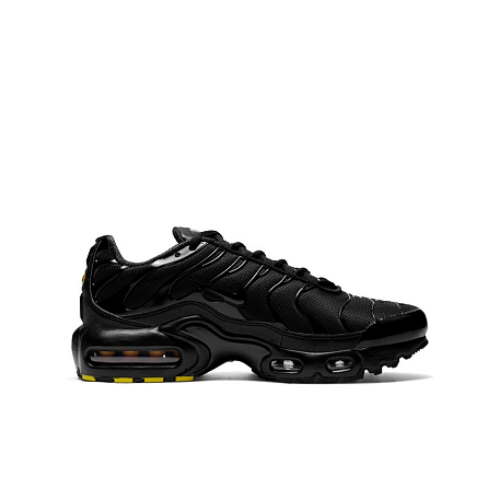 Кроссовки Nike AIR MAX PLUS (GS)
