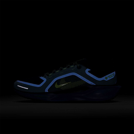 Кроссовки NIKE AIR ZM PEGASUS 41 GTX