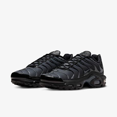 Кроссовки NIKE W AIR MAX PLUS