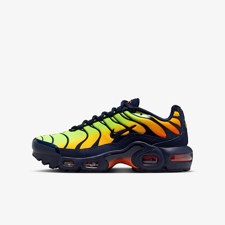 Кроссовки NIKE AIR MAX PLUS (GS)