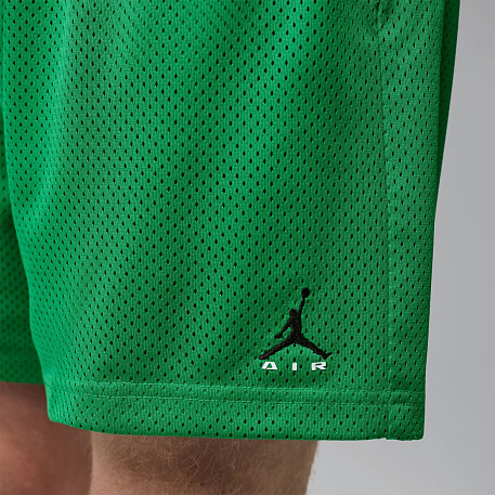 Шорты JORDAN M J BRK CHAMP MESH SHORT