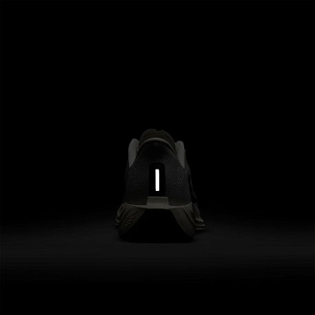 Кроссовки NIKE PEGASUS PLUS RUN