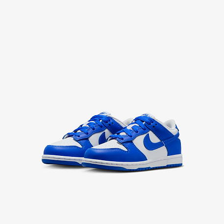 Кроссовки NIKE DUNK LOW (PSE)