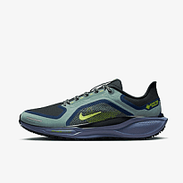 Кроссовки NIKE AIR ZM PEGASUS 41 GTX