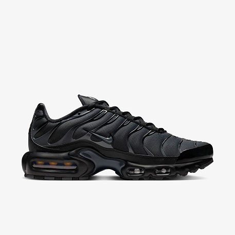 Кроссовки NIKE W AIR MAX PLUS