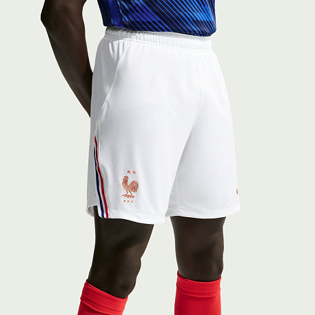 Шорты NIKE FFF M NK DF SHORT STAD HM